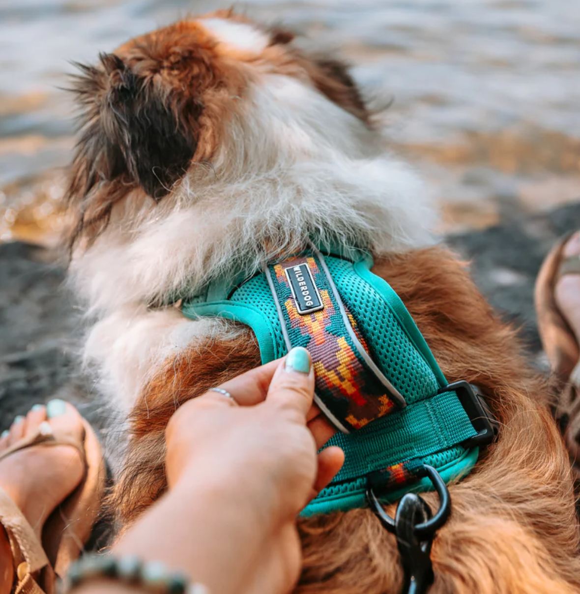 Wilderdog Dog Harness