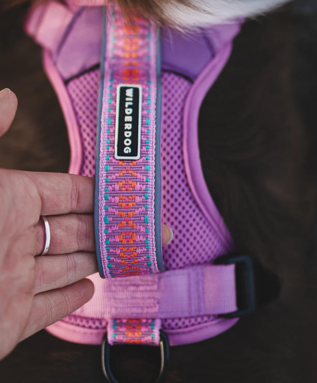 Wilderdog Dog Harness