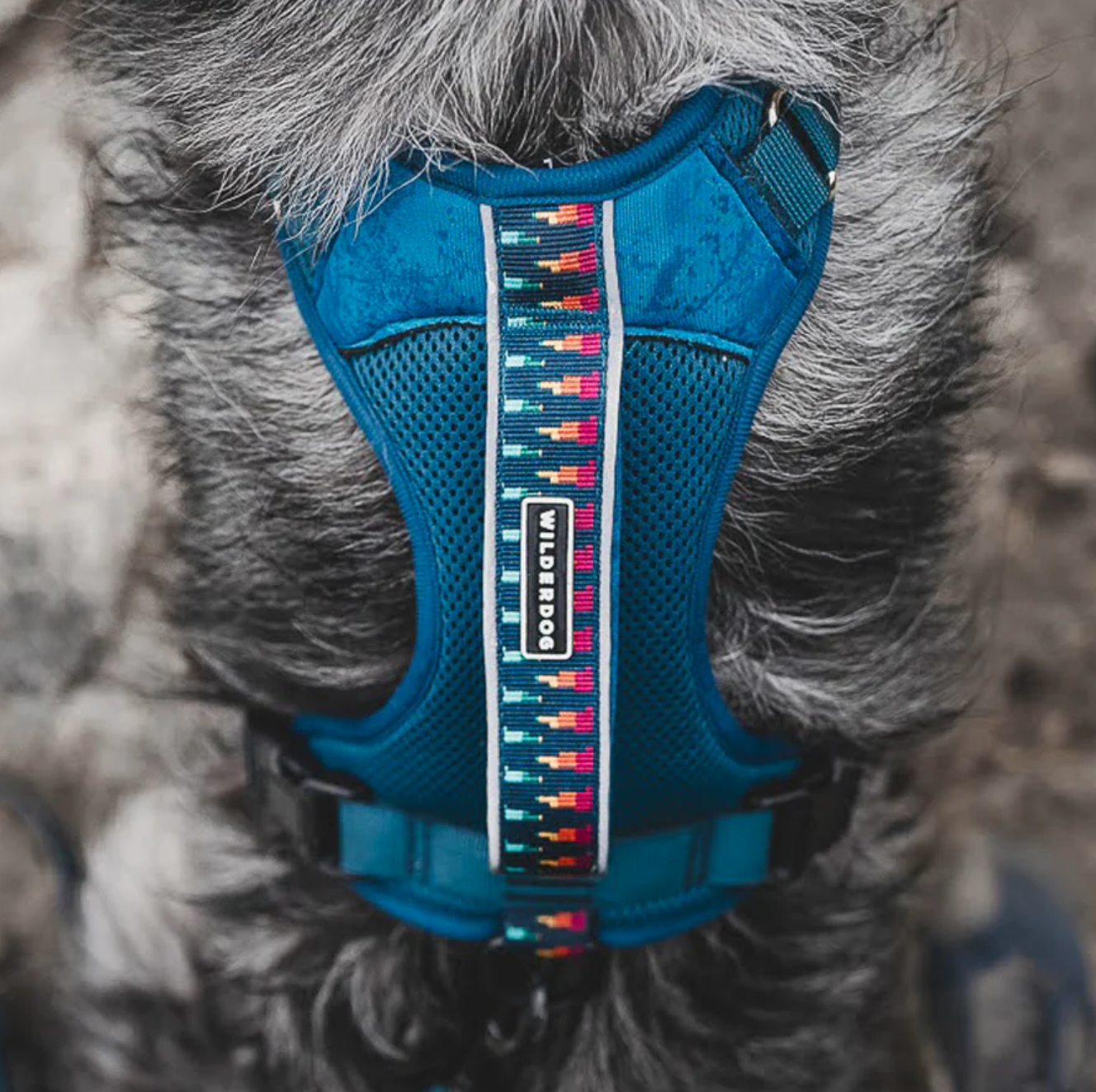 Wilderdog Dog Harness