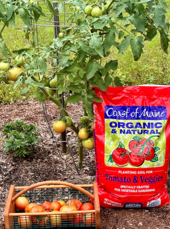 Planting Soil for Tomatoes & Vegetables