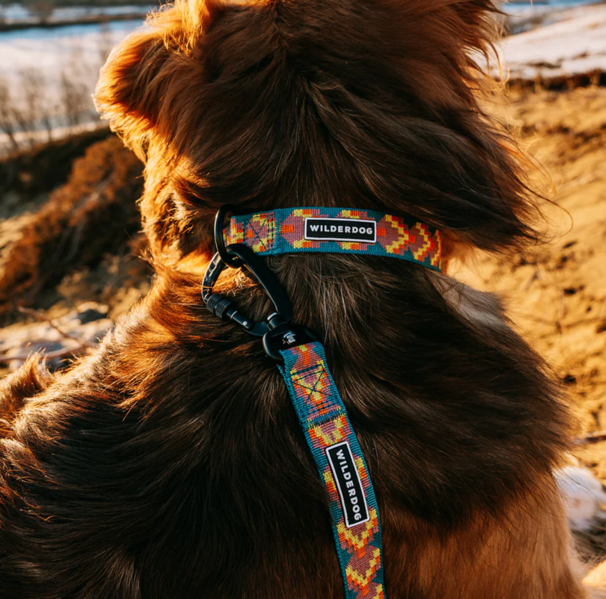 Havasu Ultralight Collar