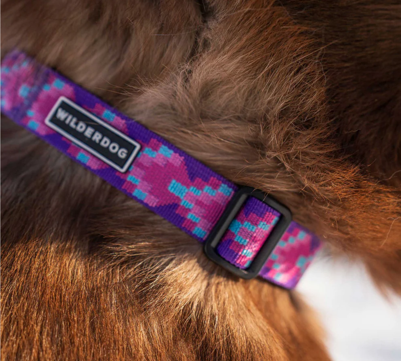 Lupin Ultralight Collar