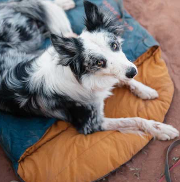 Dog Sleeping Bag