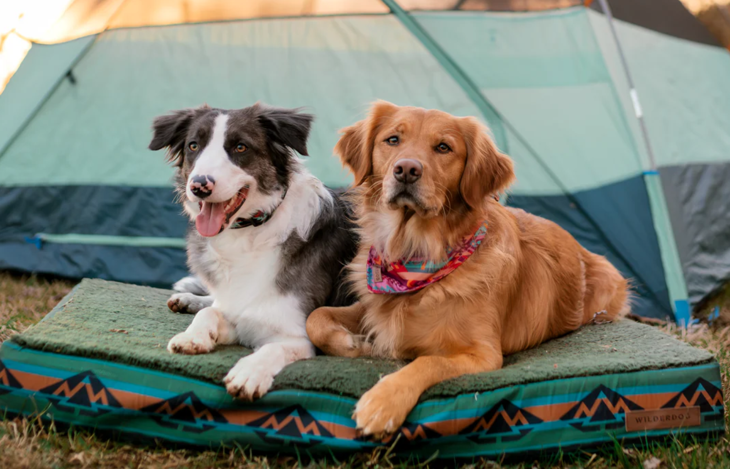 Memory Foam Dog Bed