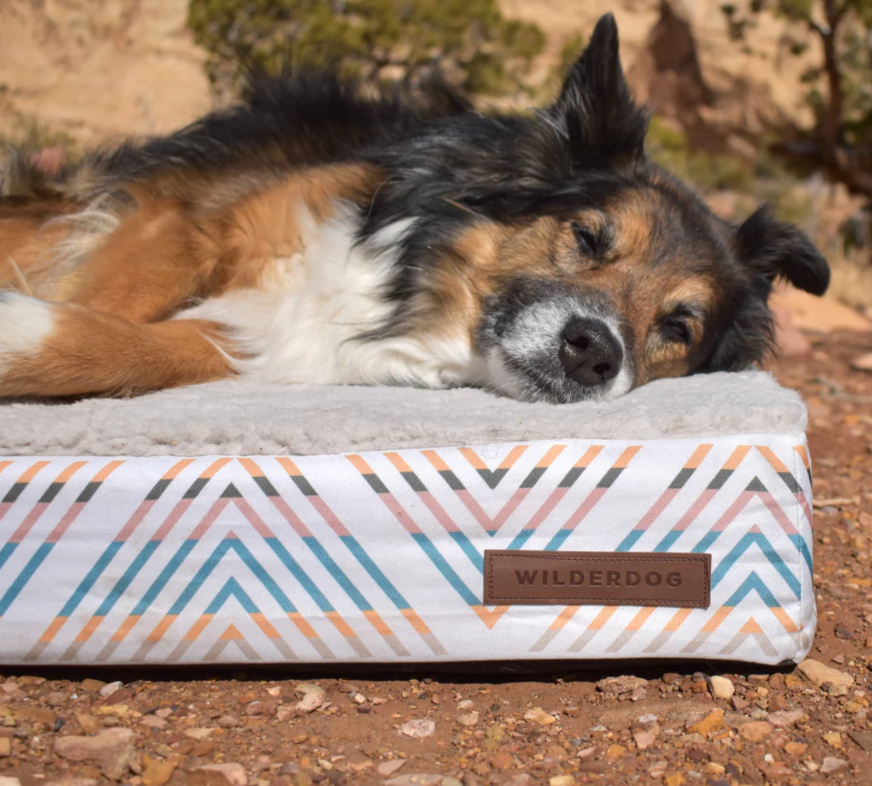 Memory Foam Dog Bed