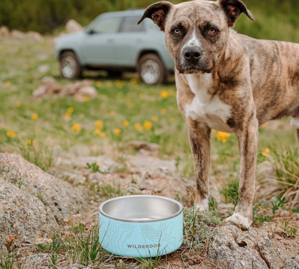 Stainless Steel Dog Bowl