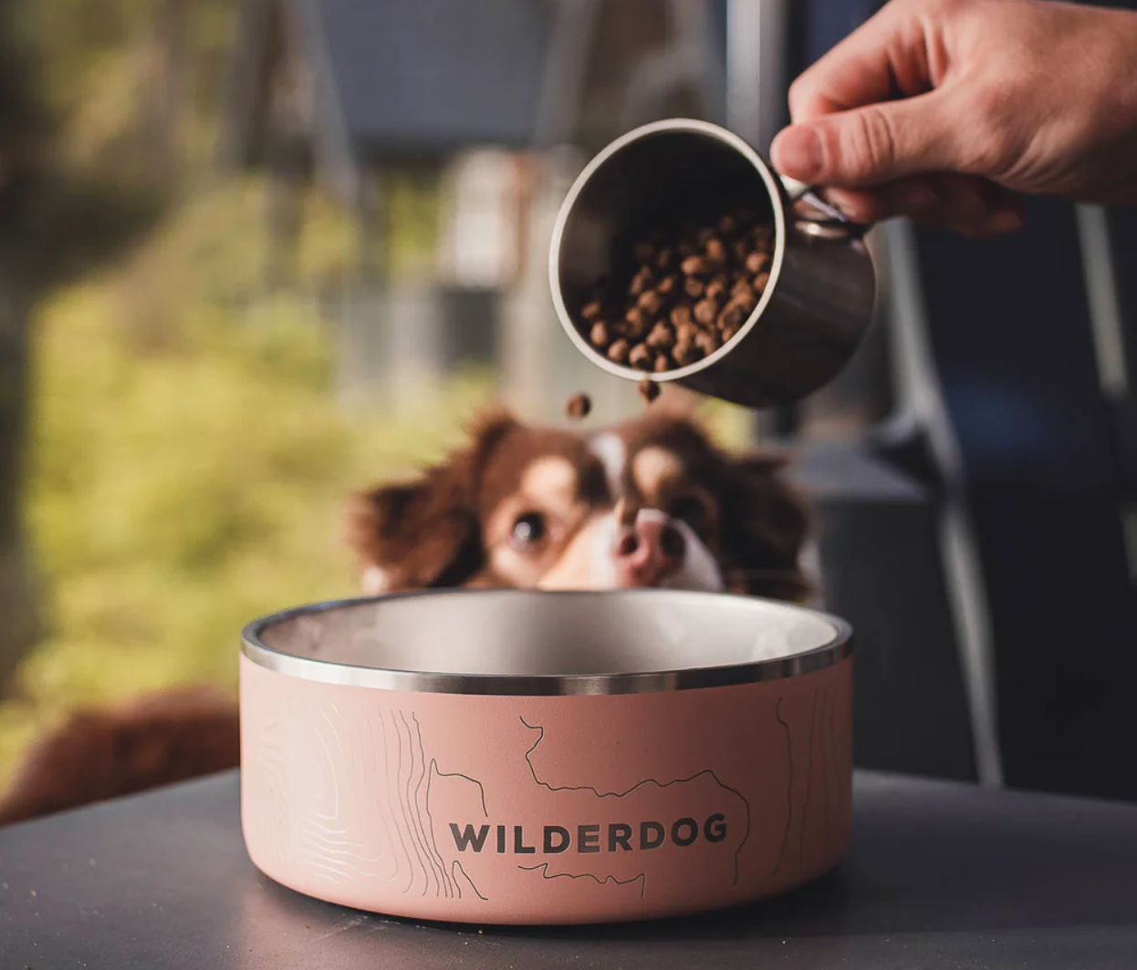 Stainless Steel Dog Bowl