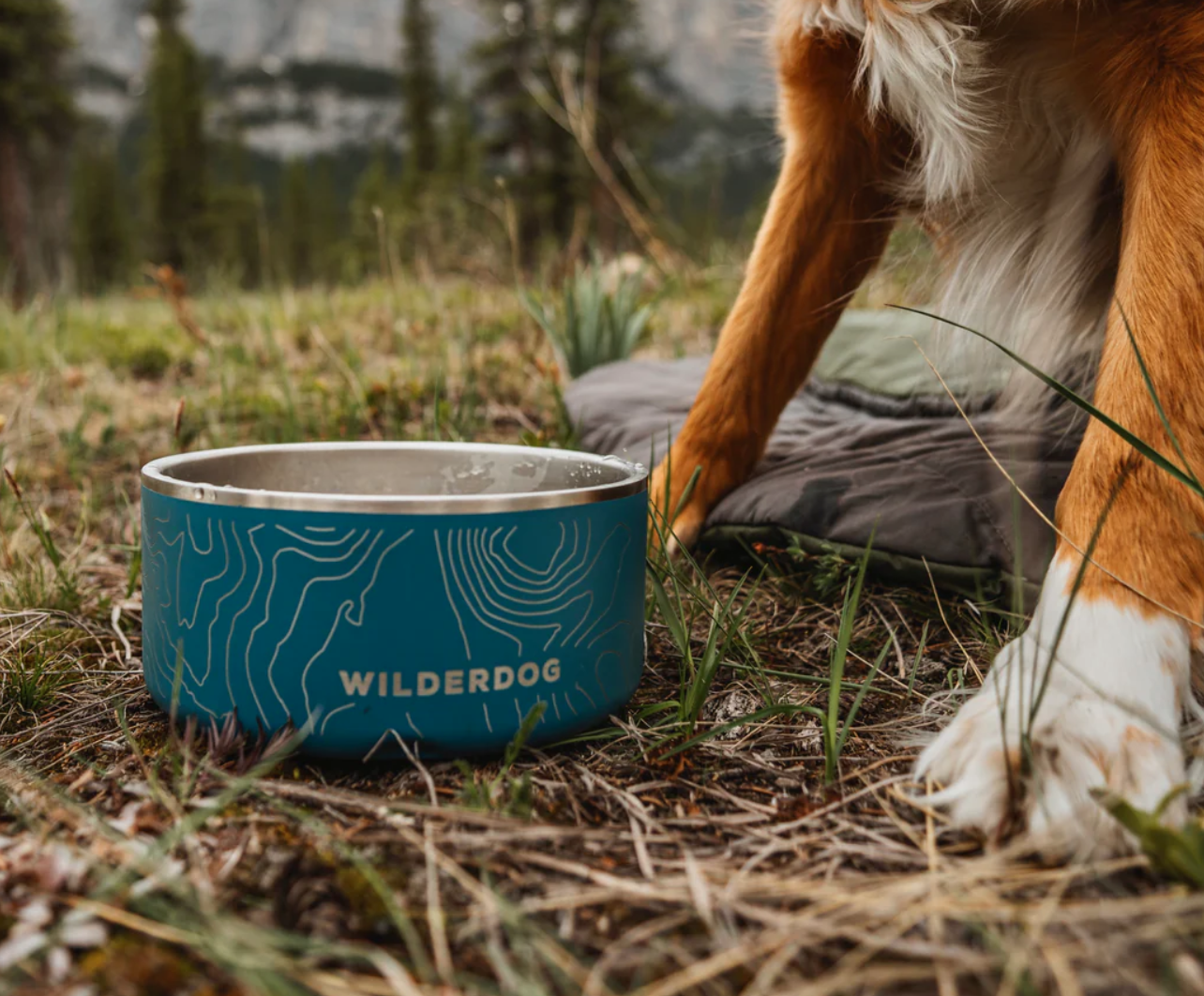 Stainless Steel Dog Bowl
