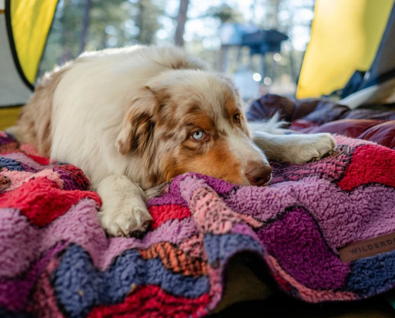 Dog Blanket - Sherpa Fleece Waterproof