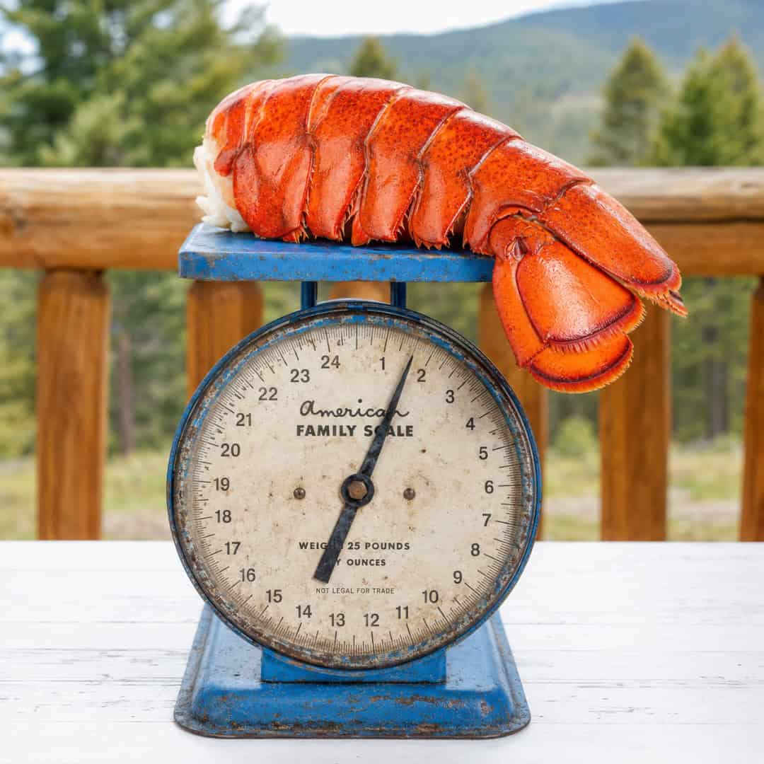 Lobster Tails